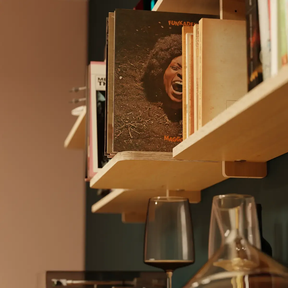 Détail : tablettes portant des vinyles et des livres